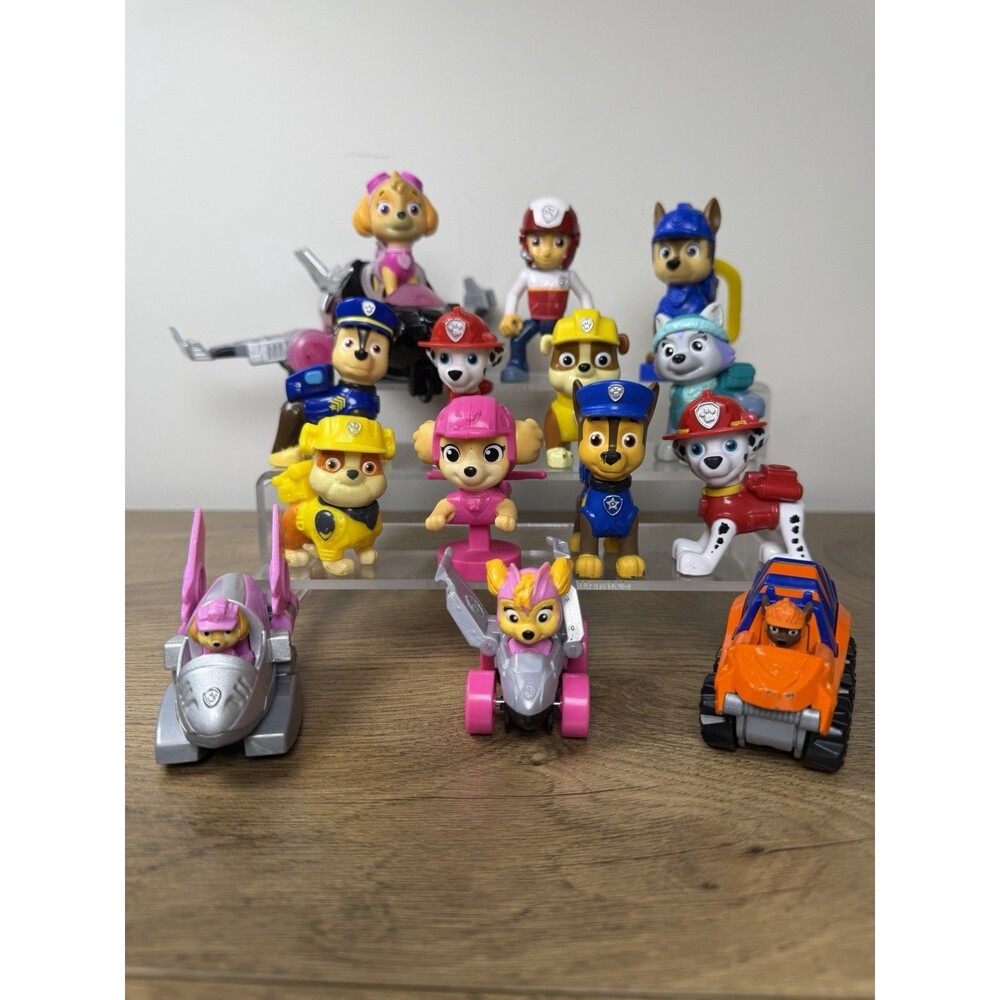 Paw Patrol 15 Pc Mixed Lot With Cars, Ryder & Skye Deluxe Jet